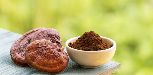The Benefits of Bryt's 10-Mushroom Blend