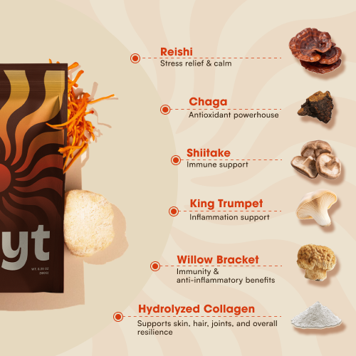 Mushroom Coffee