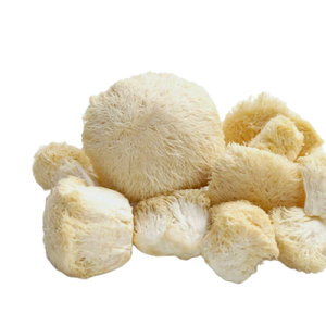 Lion’s Mane Mushroom