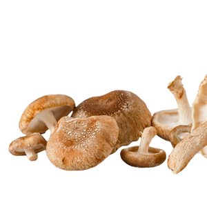 Shiitake Mushroom