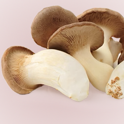 King Trumpet Mushroom